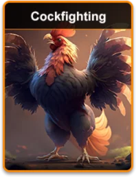 Cockfighting at Fk777